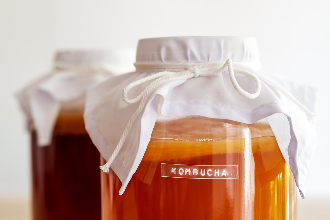 Kombucha