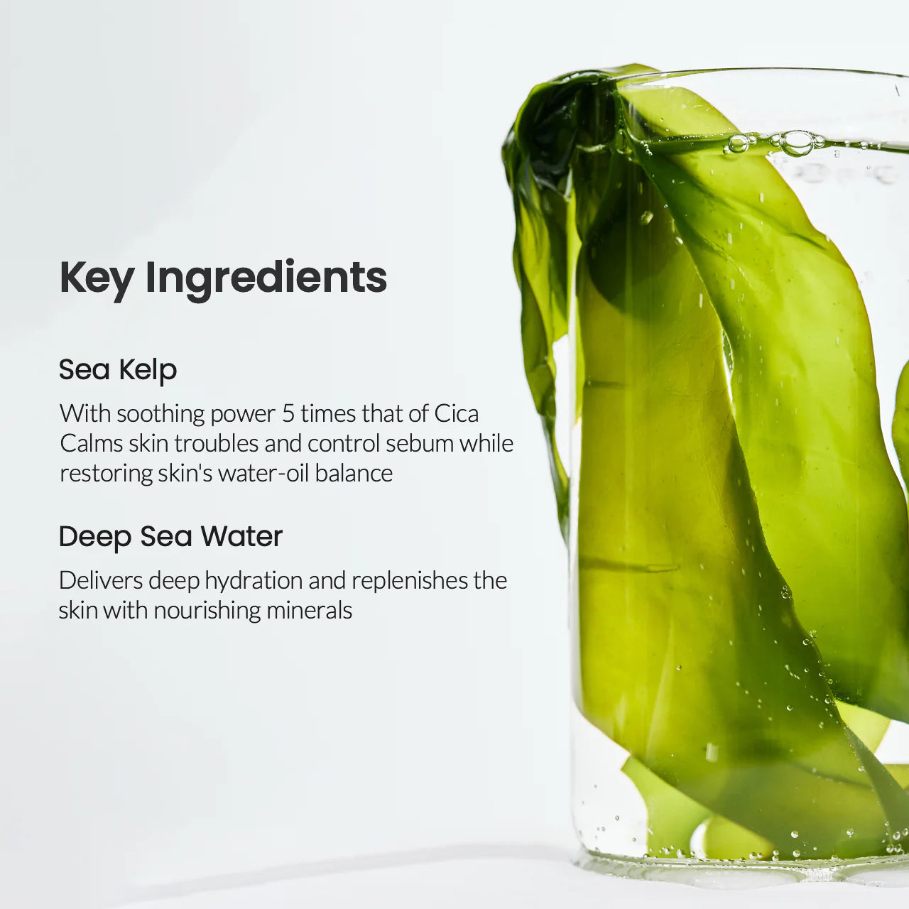 Biodance Hydrogel Collagen Skincare Green 4pcs